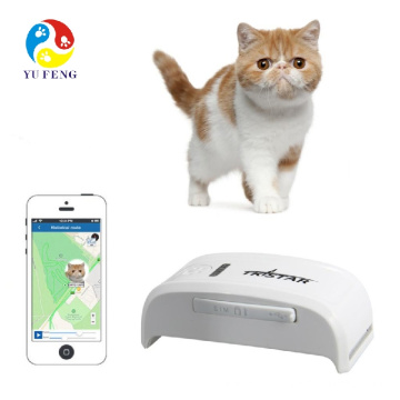 TK909 Pet GPS GSM GPRS dispositif de suivi peut insérer un collier GPS pour chien chat